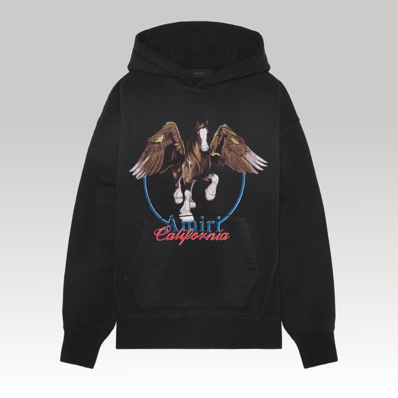 Hoodie Amiri AM072