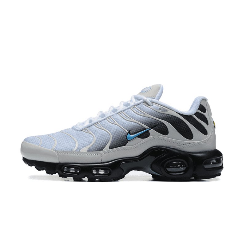 Air Max TN Plus Platinum NK044